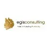 AGIS CONSULTING COACHING