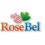 ROSEBEL IND DE ARTEFATOS DE GESSO LTDA