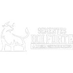 SEMENTES BOI FORTE