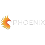 Ícone da PHOENIX VALVULAS LTDA