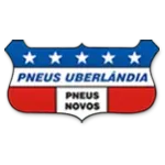 Ícone da PNEUS UBERLANDIA LTDA