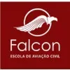 Ícone da FALCON ESCOLA DE AVIACAO LTDA