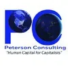 PETERSEN CONSULTING