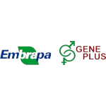 GENEPLUS CONSULTORIA AGROPECUARIA LTDA