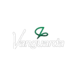 Ícone da VANGUARDA SERVICOS CONTABEIS SS LTDA