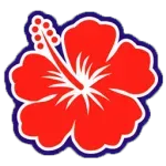 LAVANDERIA HIBISCO