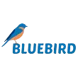 BLUEBIRD IDIOMAS