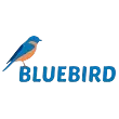 Ícone da BLUEBIRD IDIOMAS LTDA