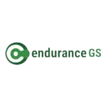 ENDURANCE GS  CONSULTORIA E DESENVOLVIMENTO TECNOLOGICO LTDA