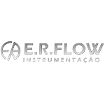 Ícone da ER FLOW MANUTENCAO E CALIBRACAO LTDA