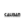 Ícone da CALIBAN PRODUCOES CINEMATOGRAFICAS LTDA