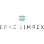 Ícone da BRAZIL IMPEX IMPORTACAO E EXPORTACAO LTDA