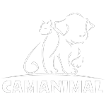 CAMANIMAL