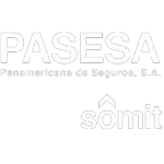 Ícone da PASESA INFORMATICA LTDA