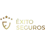 EXITO CONSULTORIA LTDA