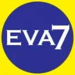 EVA SETE INDUSTRIA E COMERCIO DE PALMILHAS LTDA