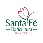 Ícone da AGRO ATACADO SANTA FE LTDA