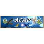 ACAP