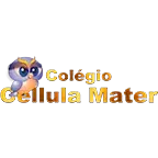 COLEGIO CELLULA MATER  ENSINO FUNDAMENTAL E MEDIO LTDA