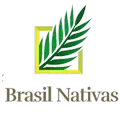 Ícone da BRASIL NATIVAS APOIO FLORESTAL LTDA