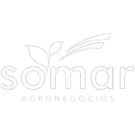 Ícone da SOMAR AGRONEGOCIOS LTDA