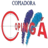 Ícone da D L G R COPIADORA COPINGA LTDA