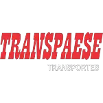 Ícone da TRANSPAESE TRANSPORTES LTDA