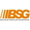 BSG CONSULTORES ASSOCIADOS