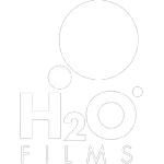 Ícone da H2O DISTRIBUIDORA DE FILMES LTDA