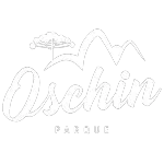 Ícone da OSCHIN  OSCHIN LTDA