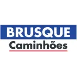 BRUSQUE COMERCIO DE CAMINHOES E TRANSPORTES LTDA