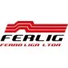 FERLIG FERRO LIGA LTDA