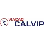 Ícone da CALVIP TRANSPORTES E TURISMO LTDA