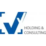 VV HOLDING  CONSULTING