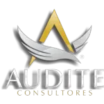 Ícone da AUDITE CONSULTORES LTDA