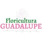 Ícone da FLORICULTURA GUADALUPE LTDA