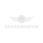 Ícone da BRASIL AVIATION TAXI AEREO LTDA