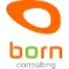 Ícone da BORN CONSULTORIA INTERNACIONAL LTDA