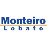 Ícone da LL MONTEIRO LOBATO LTDA