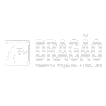 VASSOURAS DRAGAO