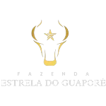 NOVA ESTRELA DO GUAPORE AGROPASTORIL LTDA