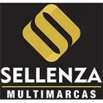 Ícone da HSS MULTIMARCAS COMERCIO DE VEICULOS LTDA