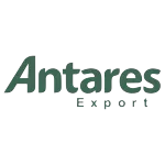 Ícone da ANTARES COMERCIO E SERVICOS LTDA