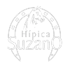 Ícone da HIPICA SUZANO COMERCIO E SERVICOS LTDA