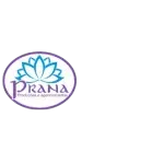 Ícone da PRANA PRODUCOES E AGENCIAMENTOS LTDA