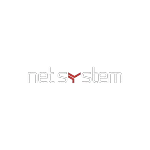 NET SYSTEM INFORMATICA