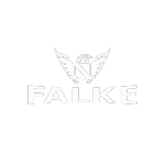 FALKE BIER