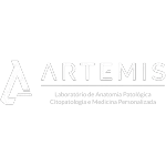 ARTEMIS LABORATORIO