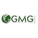 GMG CONSULTORIA  CURSOS