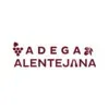 ADEGA ALENTEJANA COMERCIO IMPORTACAO E EXPORTACAO LTDA